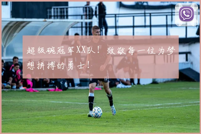 超级碗冠军XX队!致敬每一位为梦想拼搏的勇士!